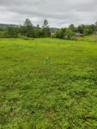 Terreno 72.000m² semi plano excelente para investir em lavoura