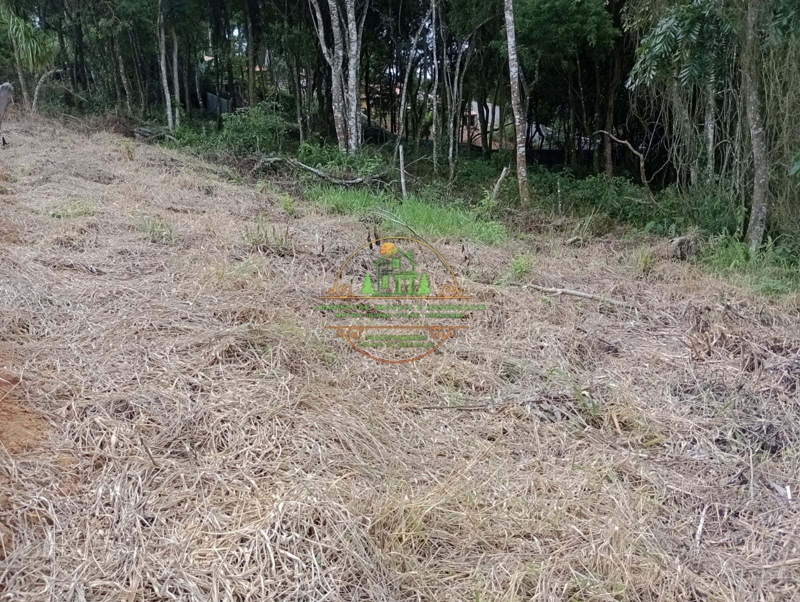 Terreno 2.000m² a 5km do centro da cidade