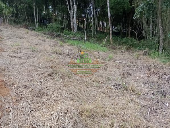 Terreno 2.000m² a 5km do centro da cidade