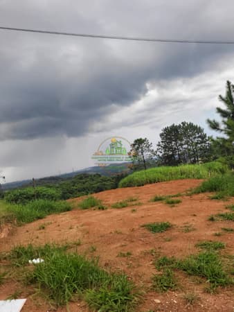 Terreno Lote para ponto comercial