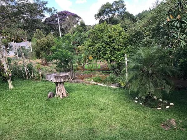 Terreno plano com lago