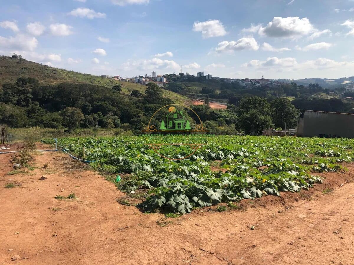 Terreno de 6.000m² otima topografia a 3km do centro da cidade
