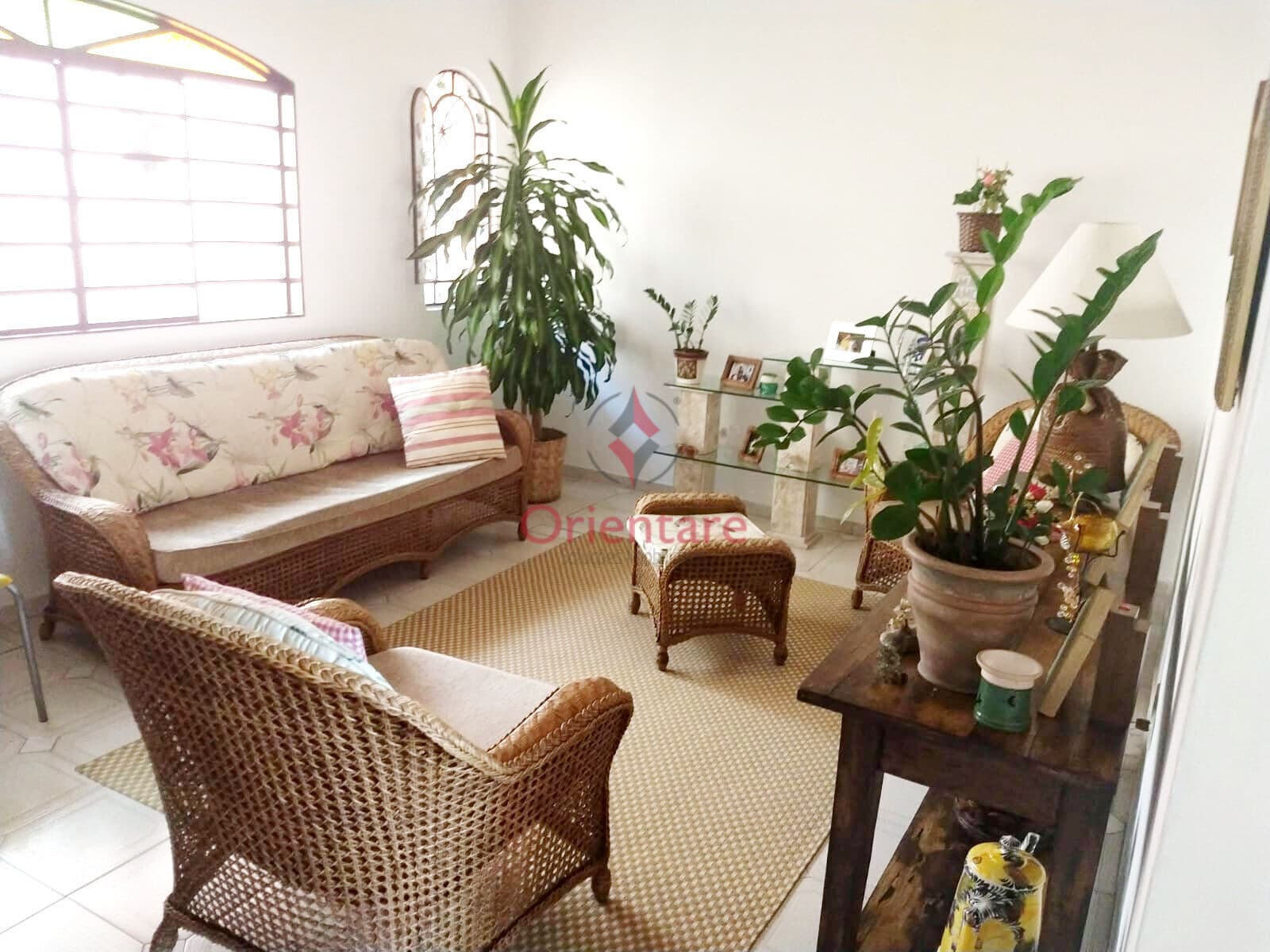 Imóvel a venda com 3 casas e 1 salão na Freguesia do Ò
