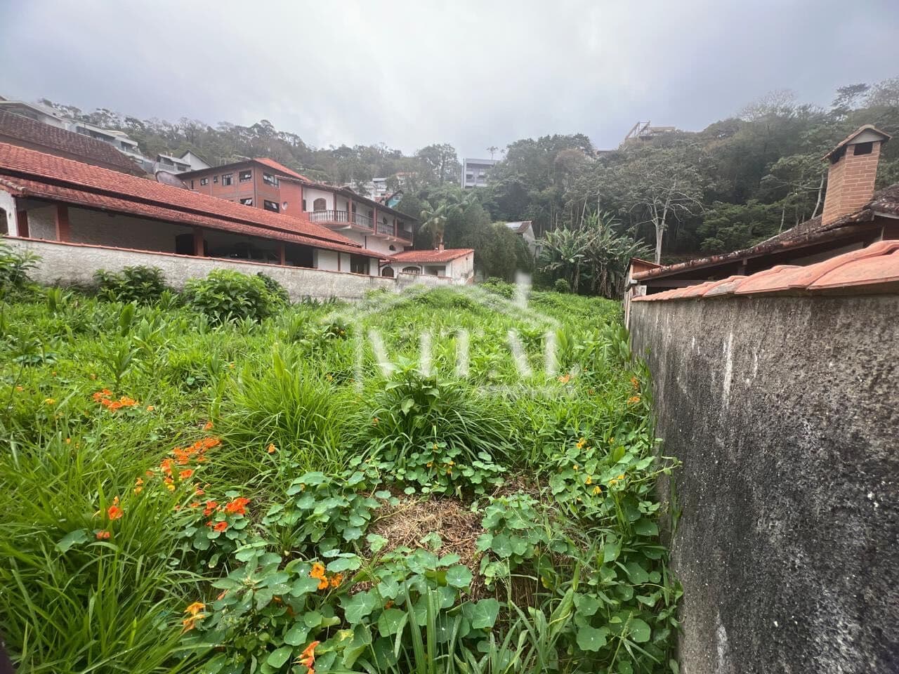 Lote/Terreno em Nova Friburgo - Cônego