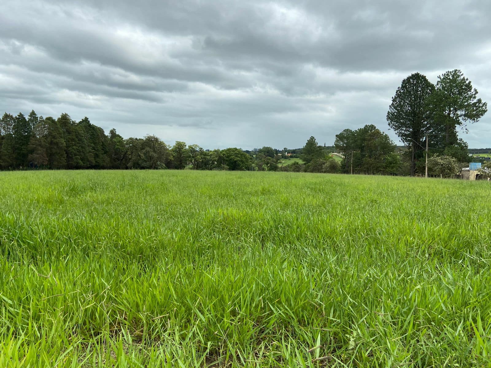 Lote de 24,200 m² dentro de condomínio