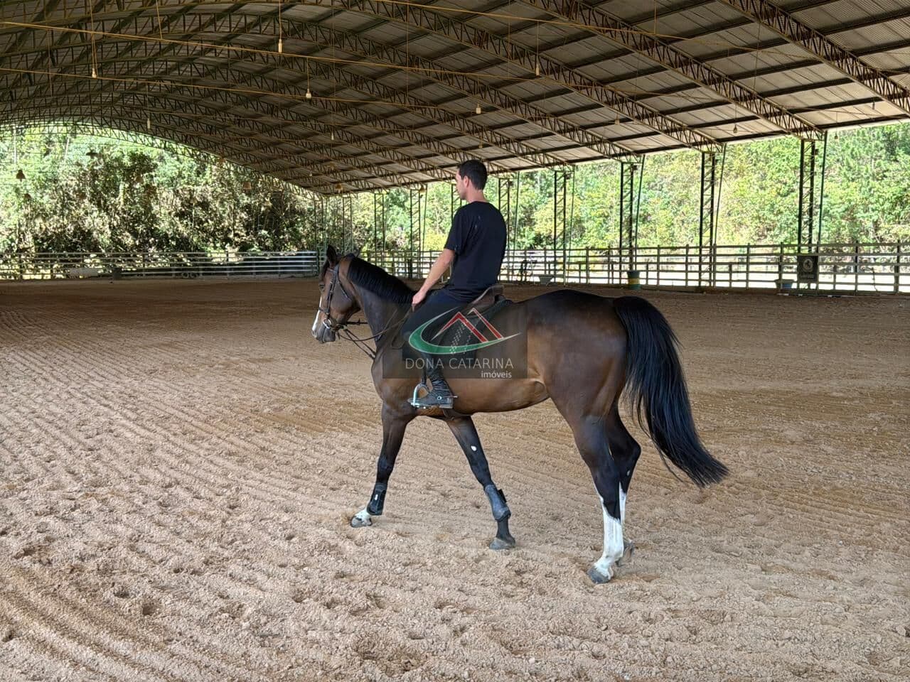 Á Venda, Haras de 7 Alqueires com Pistas, Baias e Piquetes – Pronto para Uso! São Roque SP!