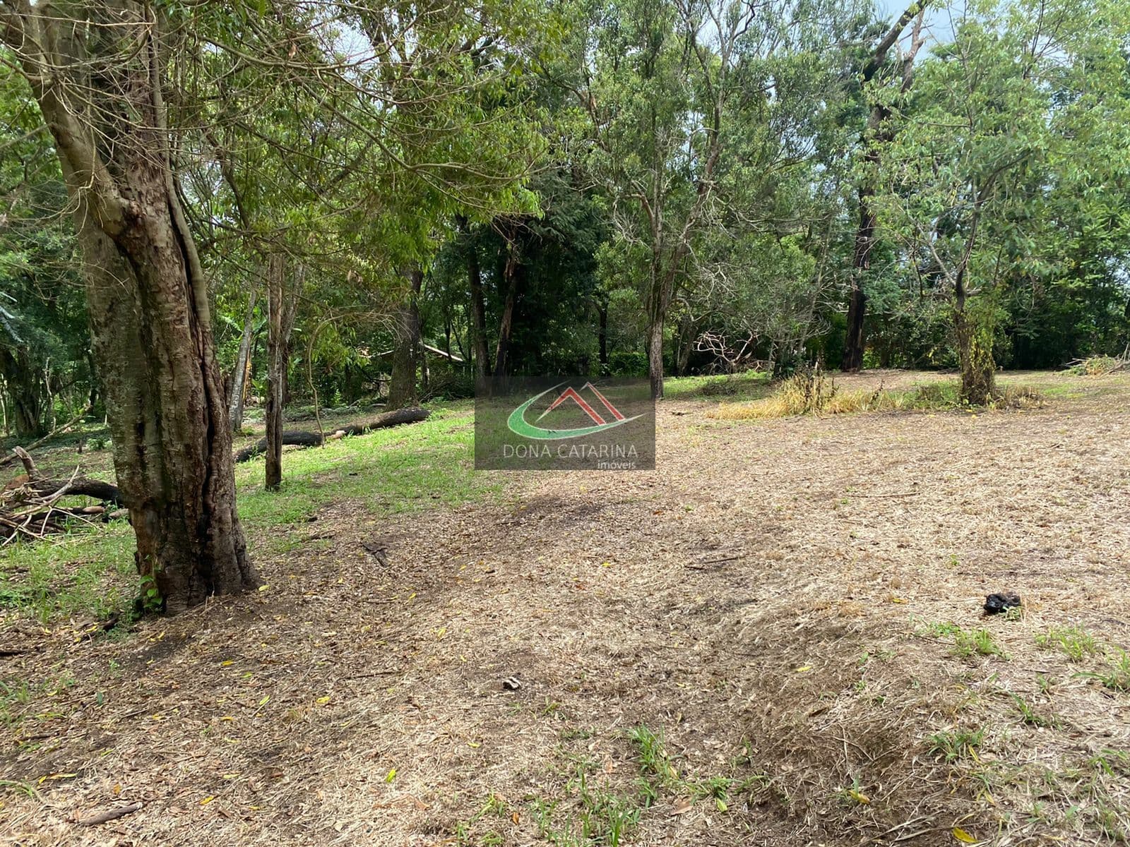 Lote 10.000m² Dentro de Condomínio Fechado - Porto Feliz SP