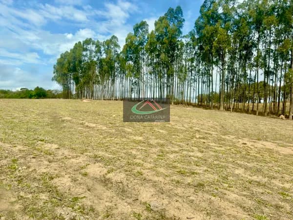 Á Venda, Área de 5 Alqueires em Mairinque-SP – Ideal para Haras e Criação de Animais