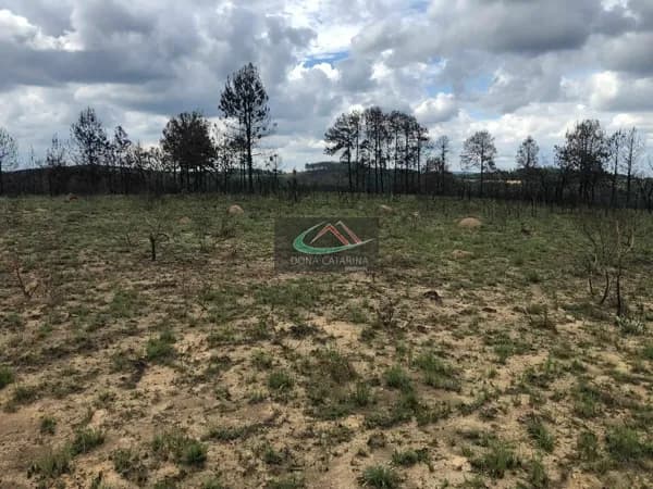 Lote/Terreno em Mairinque - Dona Catarina
