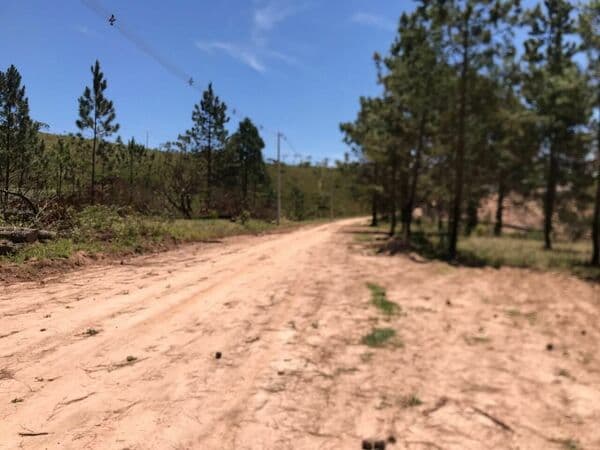 Lote de 2.500 m² para construir