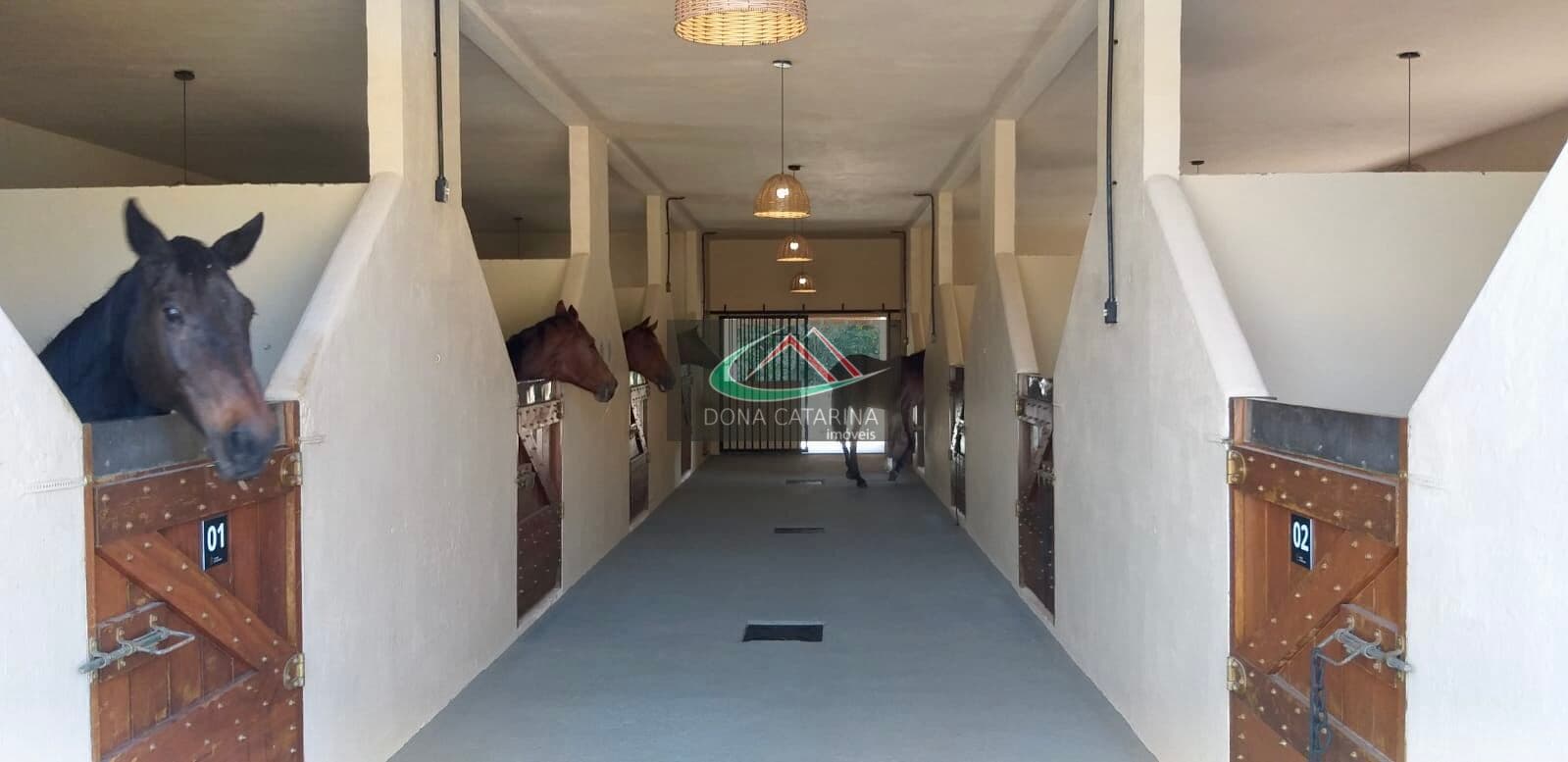 🐎 HARAS PARA LOCAÇÃO EM INDAIATUBA/SP – ESTRUTURA IDEAL PARA NEGÓCIOS EQUESTRES