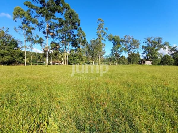 Terreno / chácara com 2500 m² - São Pedro da Alcântara/SC