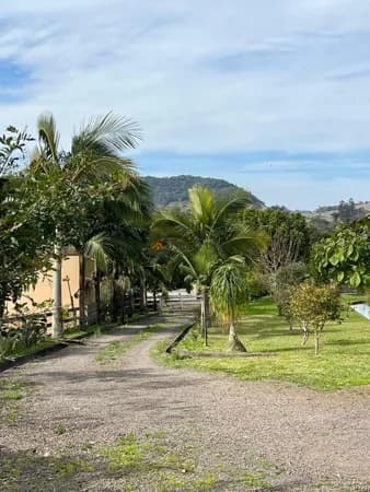 Fazenda/Sítios/Chácaras em Araricá - Campo da Brazina