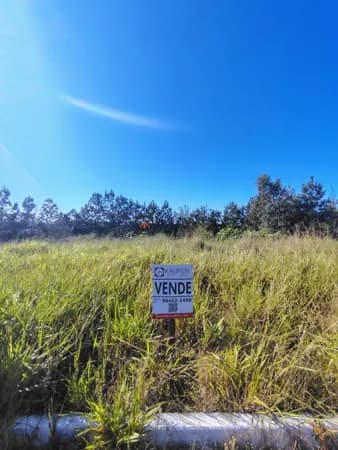 Lote/Terreno em Sapiranga - Amaral Ribeiro