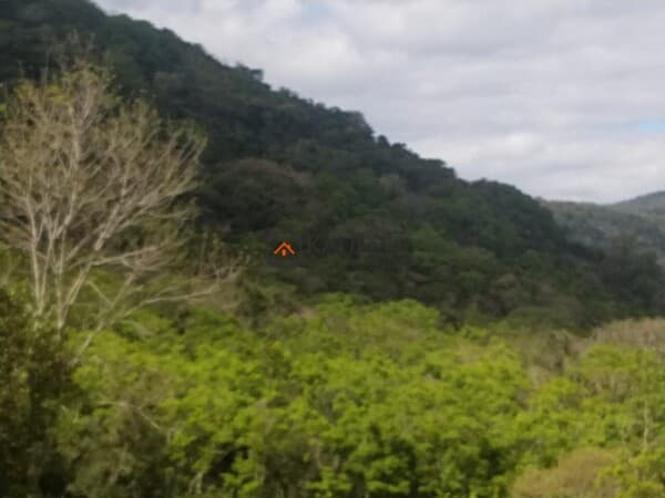 Lote/Terreno em Sapiranga - Centenário
