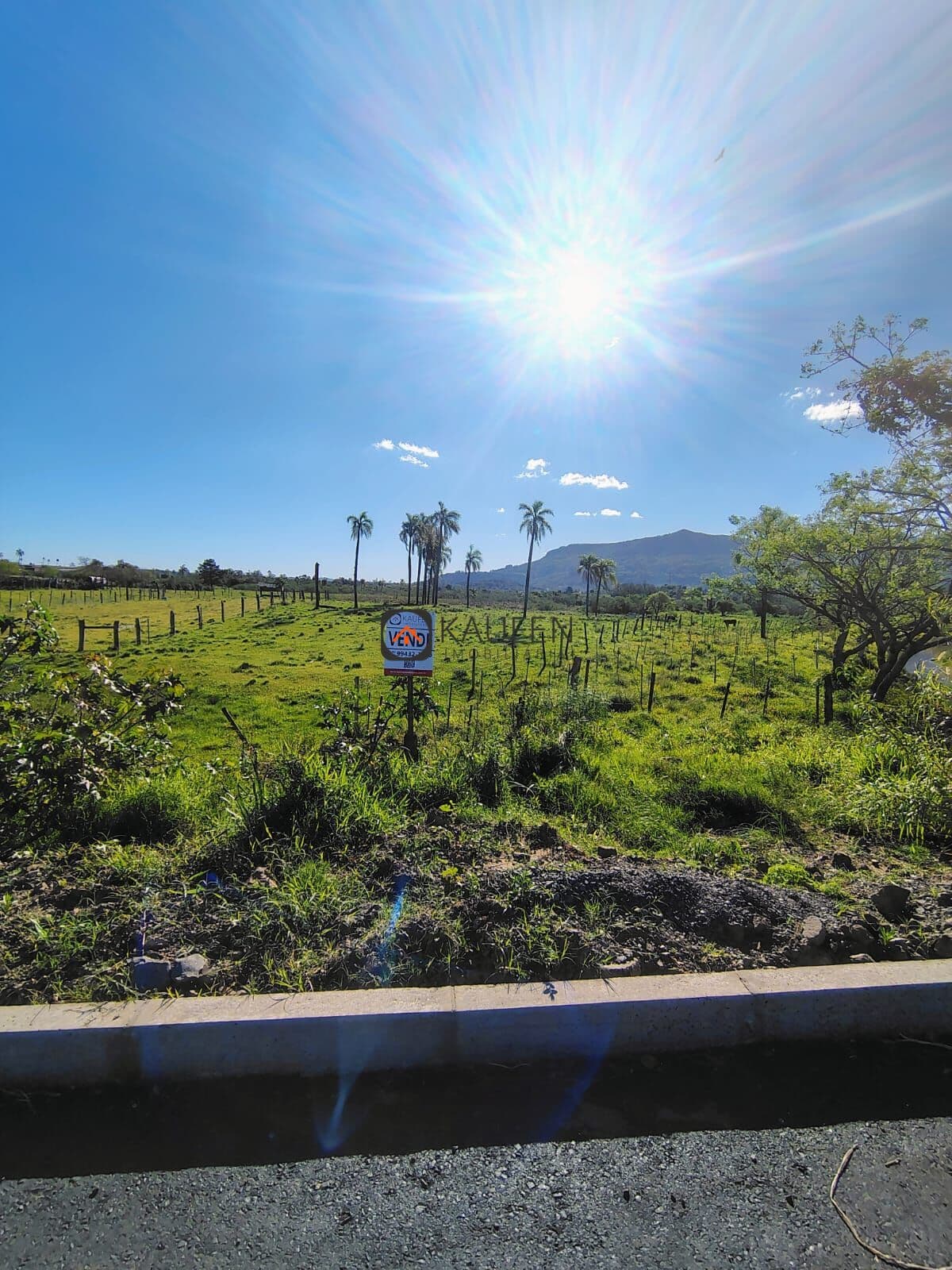 Lote/Terreno em Araricá - Campo da Brazina