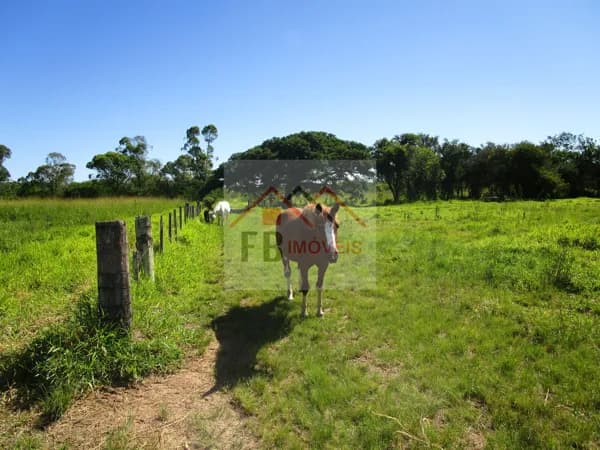 Fazenda/Sítios/Chácaras em Porto Alegre - Lami