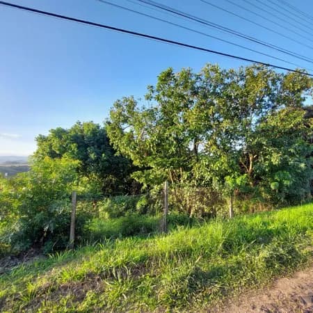 Lote/Terreno em Santo Antônio da Patrulha - Santo Antônio da Patrulha