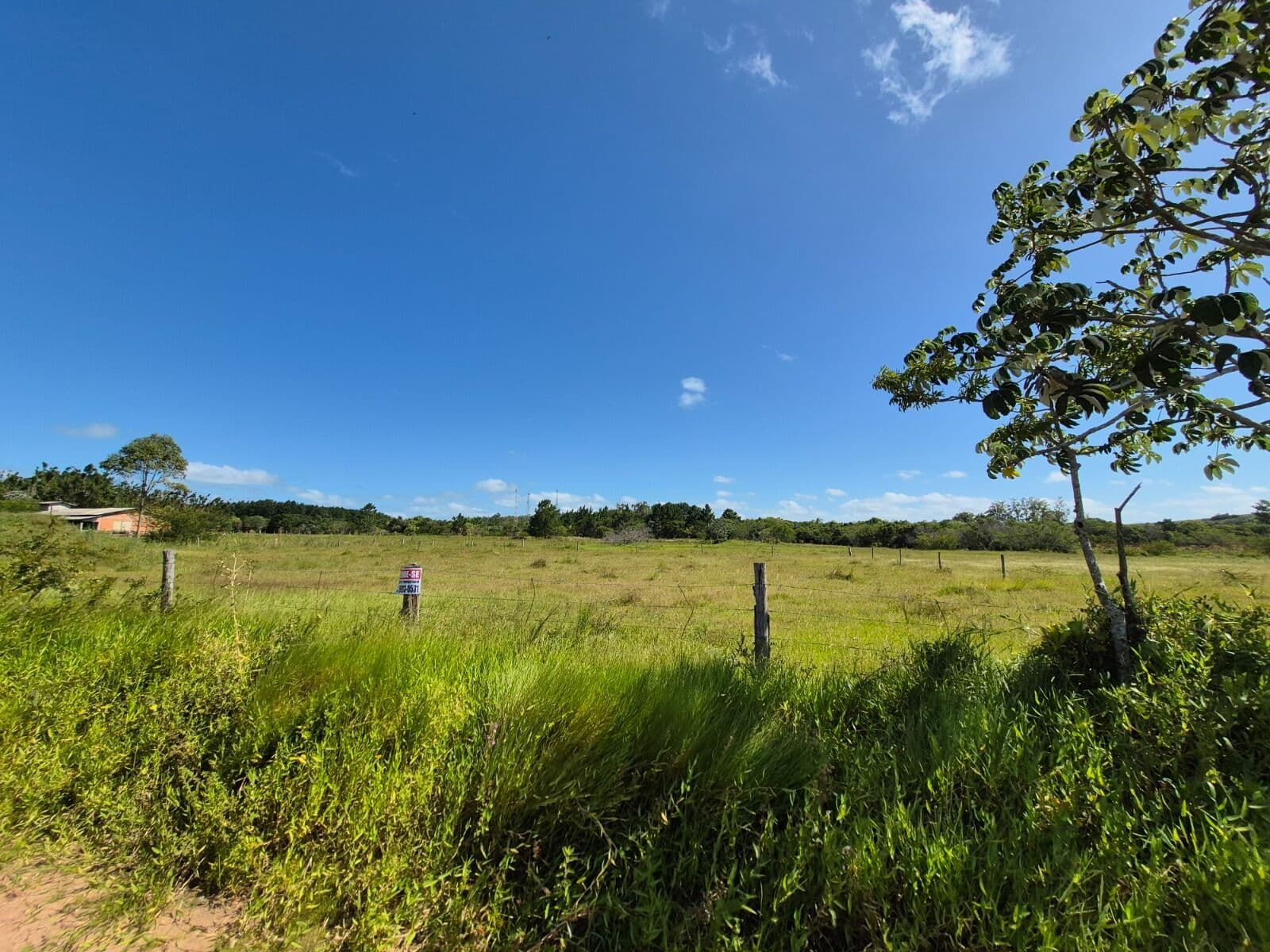 Lote/Terreno em Santo Antônio da Patrulha - Santo Antônio da Patrulha