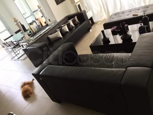 Apartamento Cobertura Duplex em Parque Campolim, Sorocaba/SP
