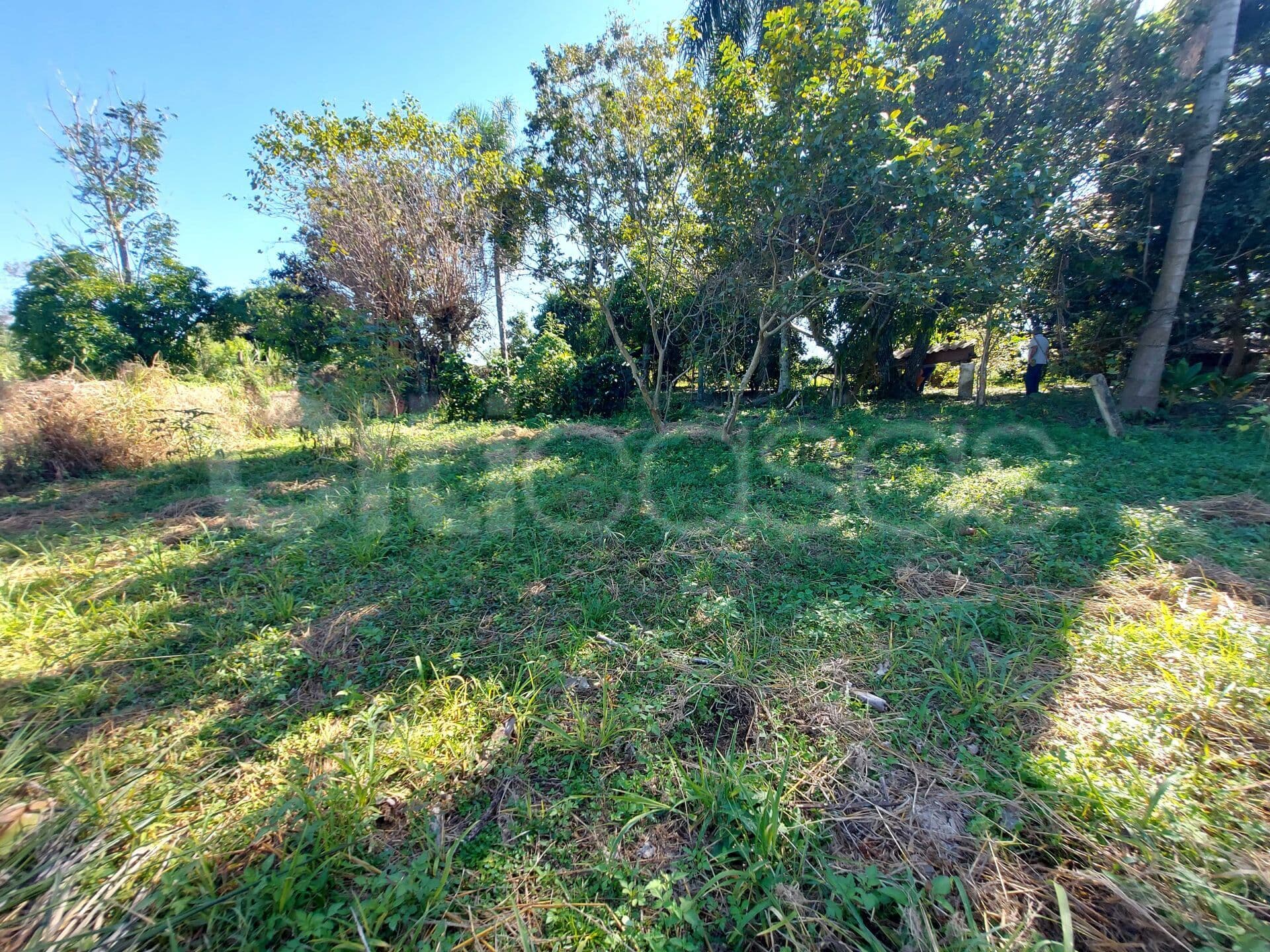 Terreno de 1930m² em Condomínio Residencial Haras Pavão em Araçoiaba da Serra