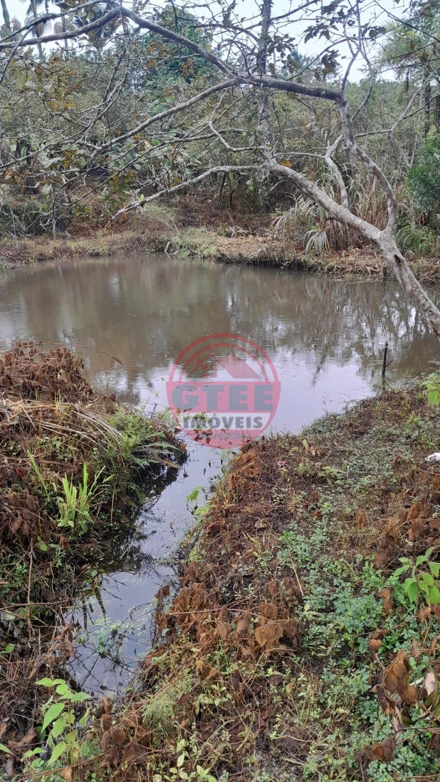 Fazenda/Sítios/Chácaras em Juquiá - Centro