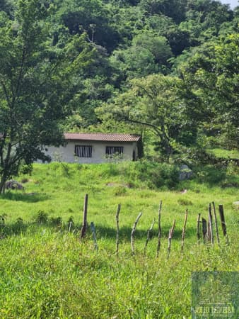 Fazenda/Sítios/Chácaras em Tubarão - Congonhas