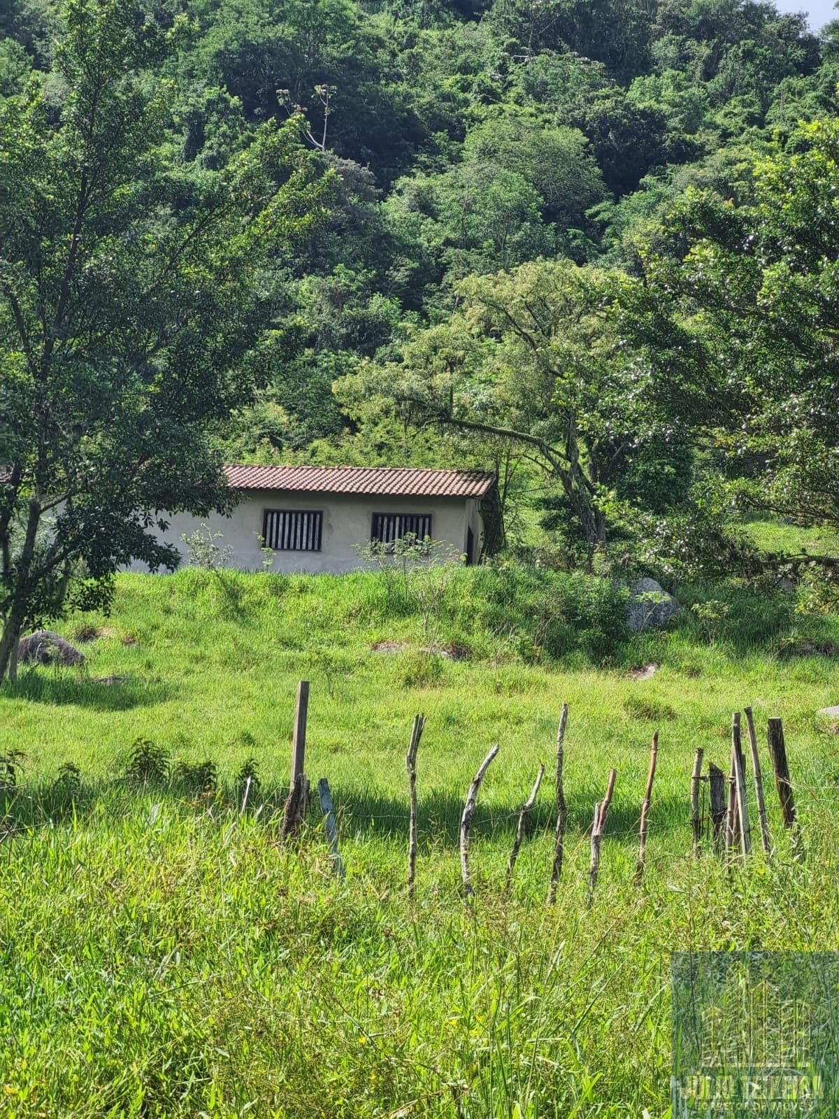 Fazenda/Sítios/Chácaras em Tubarão - Congonhas