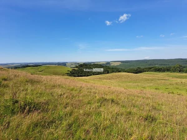 Sítio em São Francisco de Paula próximo do centro da cidade