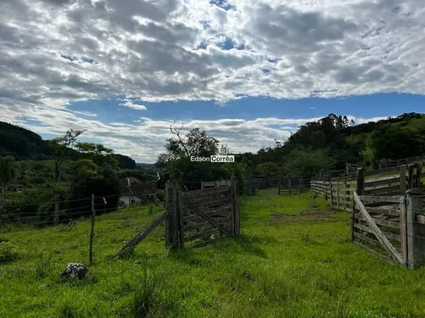 🐂ÁREA PARA PECUÁRIA 🐮🐂