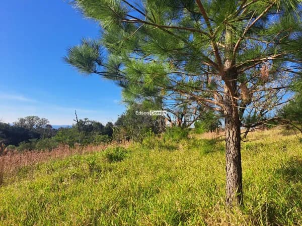 🌳Área de 1.3 ha com linda vista em Taqauara