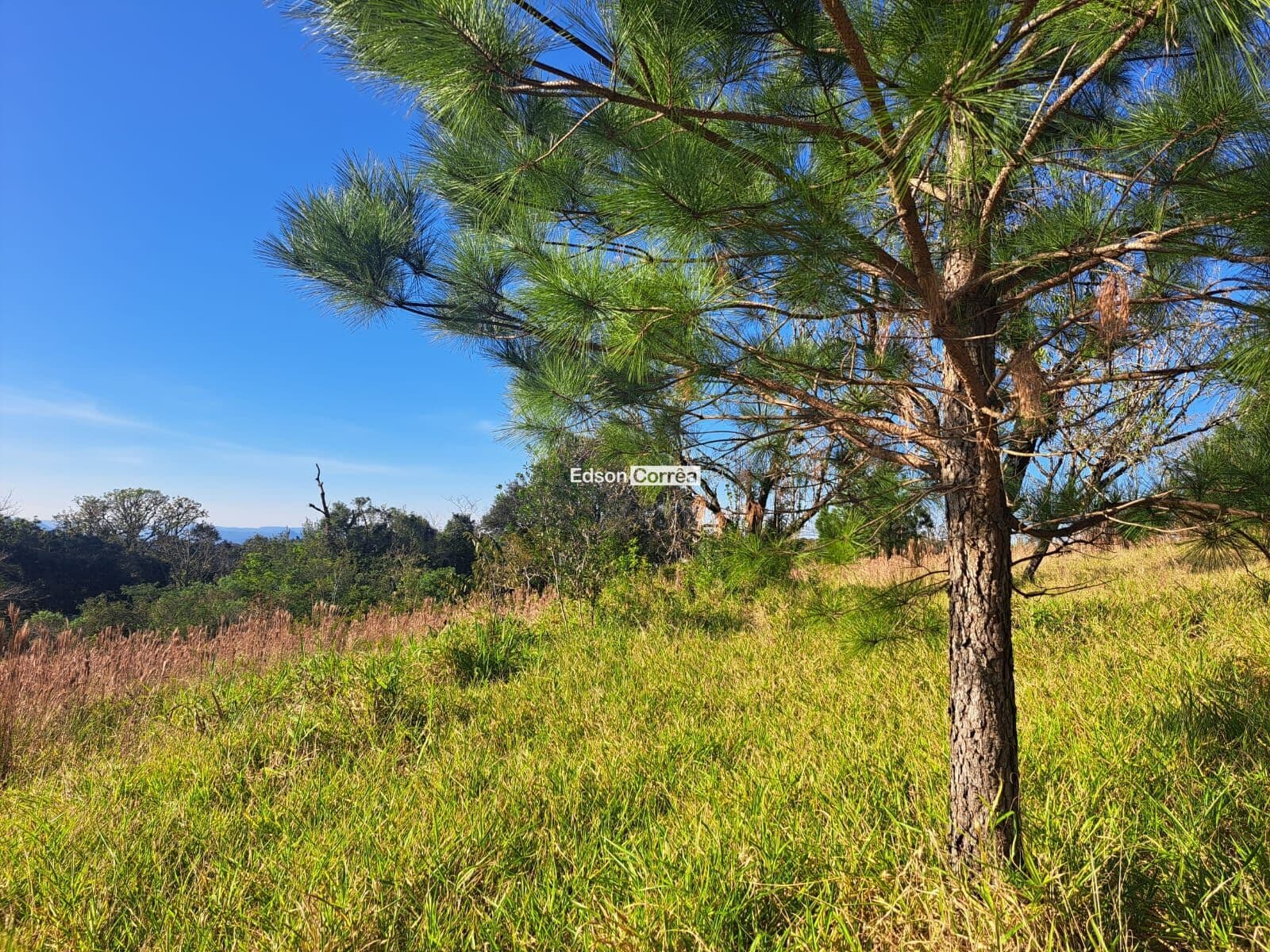 🌳Área de 1.3 ha com linda vista em Taqauara