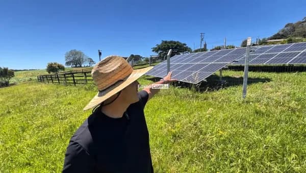 Fazenda/Sítios/Chácaras em Taquara - Zona Rural