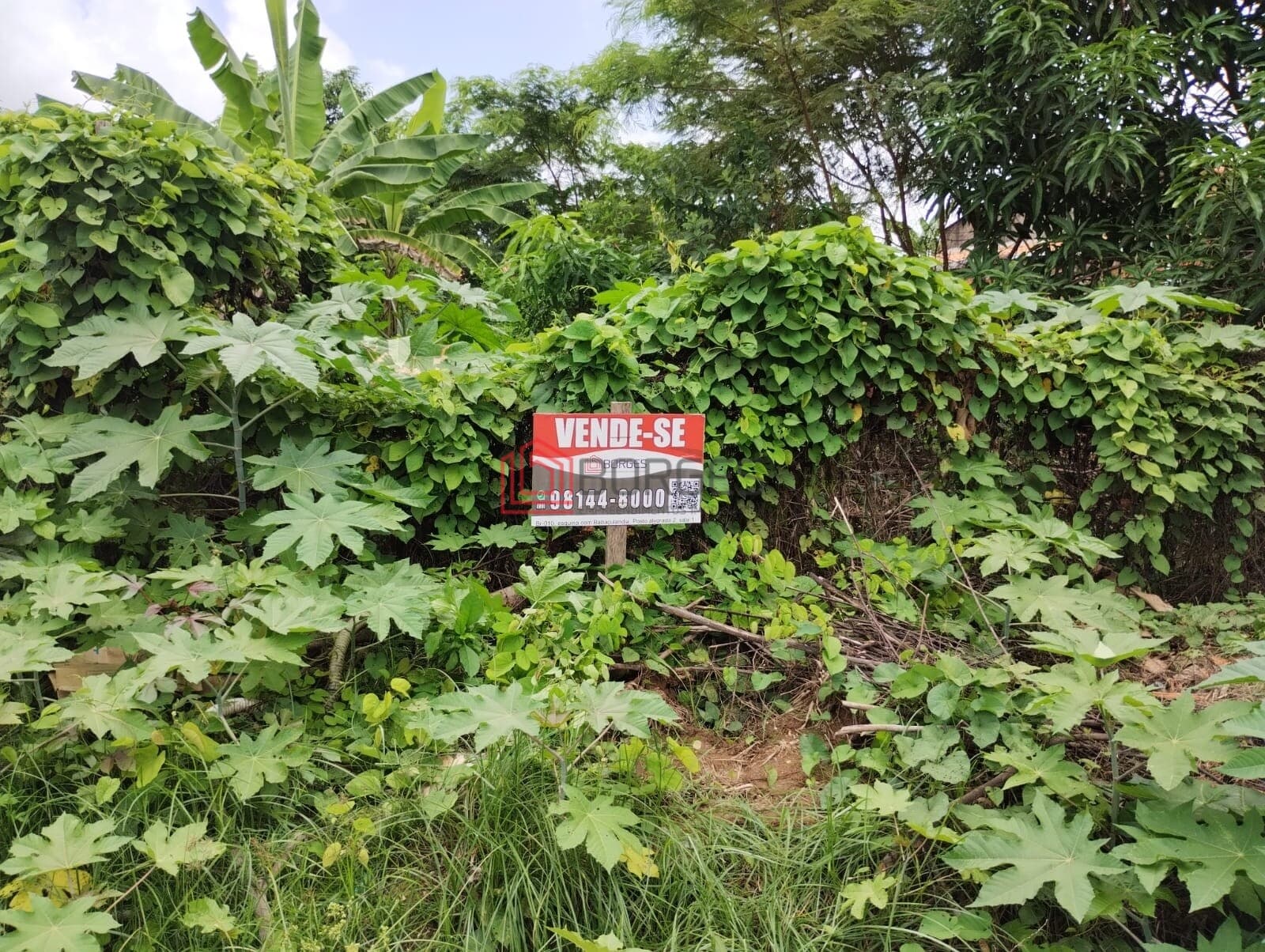 Vende-se 02 TERRENOS no Parque São José