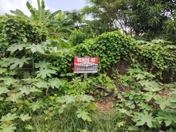Vende-se 02 TERRENOS no Parque São José