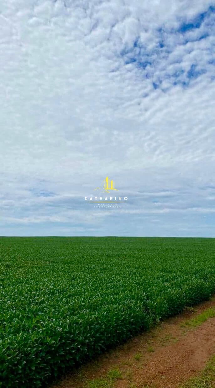 Fazenda em Distrito Industrial, Sinop/MT