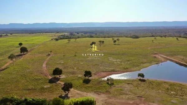Fazenda em Jangada/MT