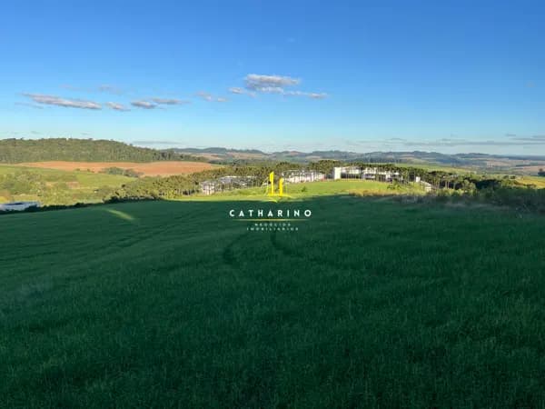 ÁREA INDUSTRIAL