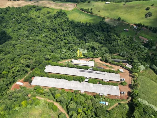Fazenda/Sítios/Chácaras em Seara - Centro