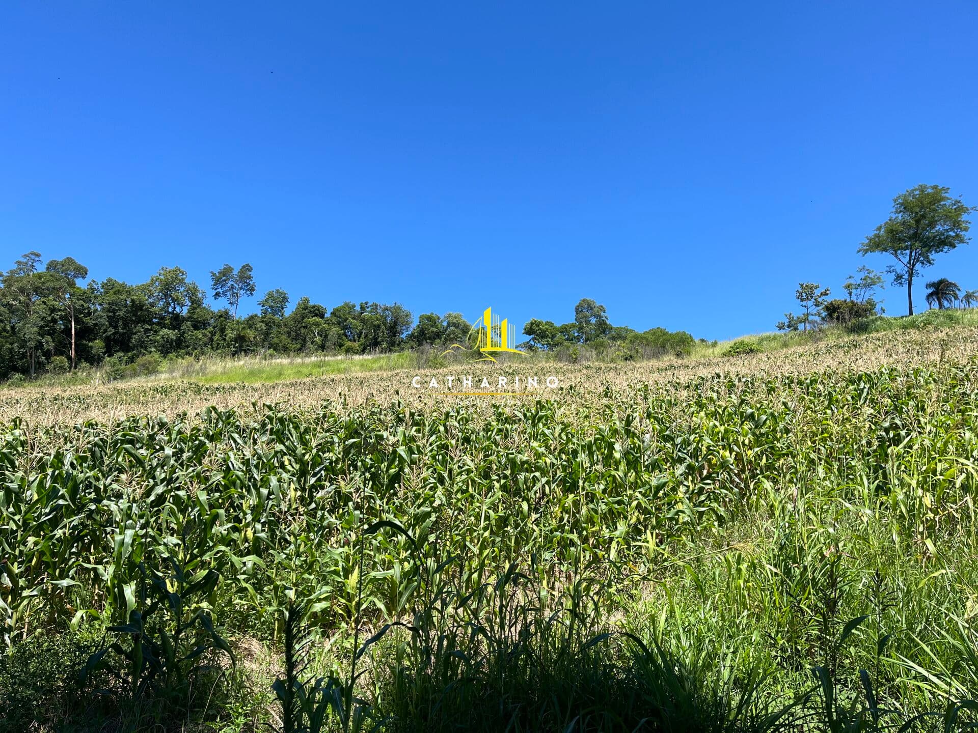 Fazenda/Sítios/Chácaras em Chapecó - Sede Figueira