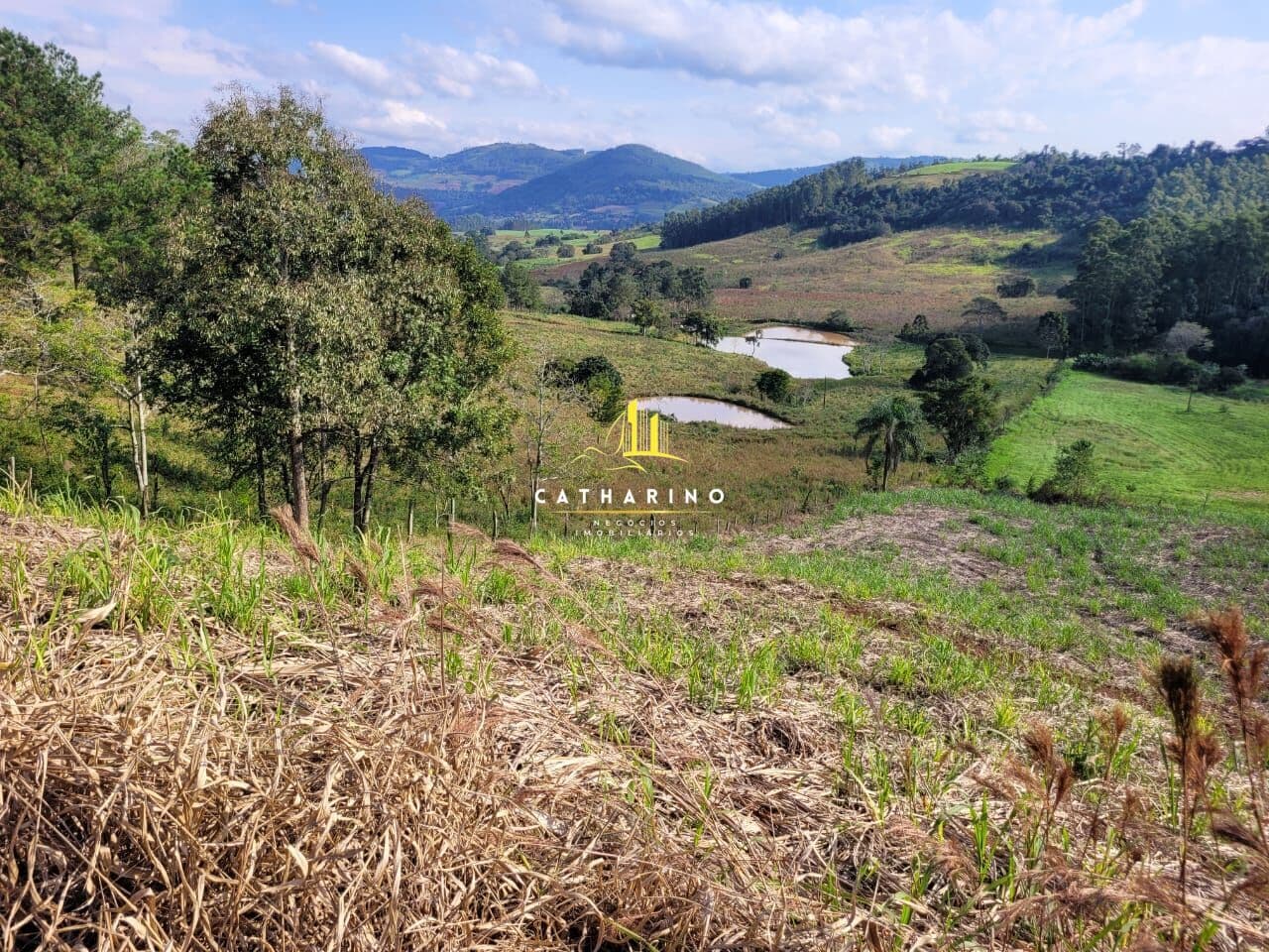 Fazenda/Sítios/Chácaras em Paial - Centro