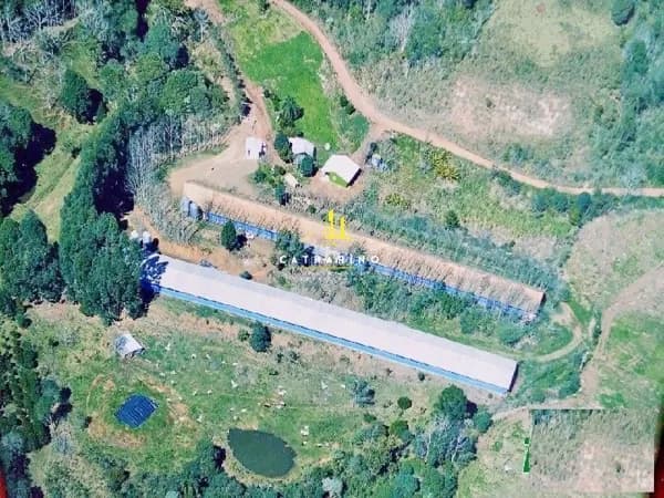 Fazenda/Sítios/Chácaras em Paial - Centro
