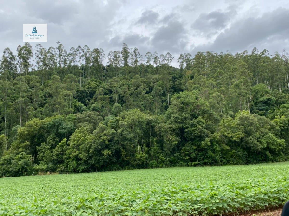 Área Residencial para Venda em Centro Nova Itaberaba-SC