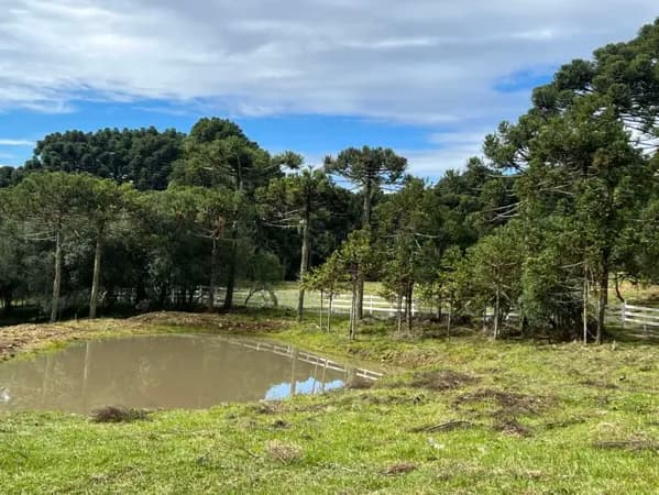 Incrível terreno com silêncio e açude