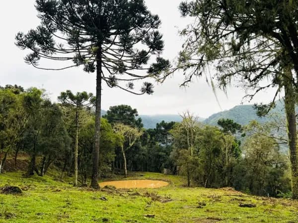 Terreno com água e vista