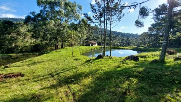 Terreno à venda no bairro Morro Da Farofa em Urupema/SC