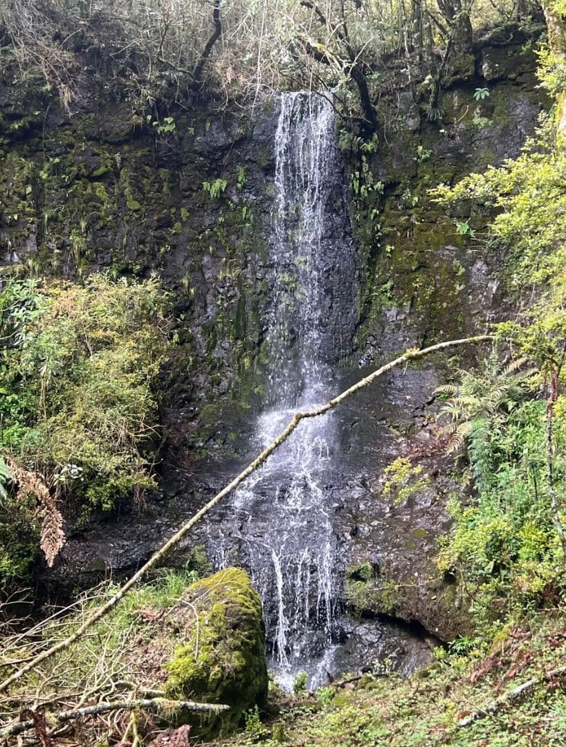 Chácara silenciosa com cachoeira