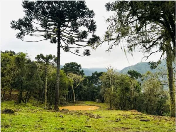 Terreno de 20 hectares em Urubici