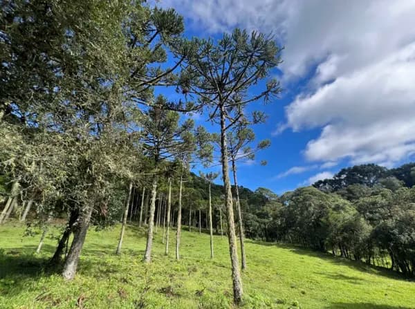 Terreno com pequena cachoeira e linda vista - 6km do Centro