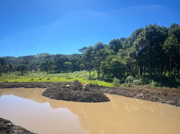 Terreno com açude, linda vista e araucárias